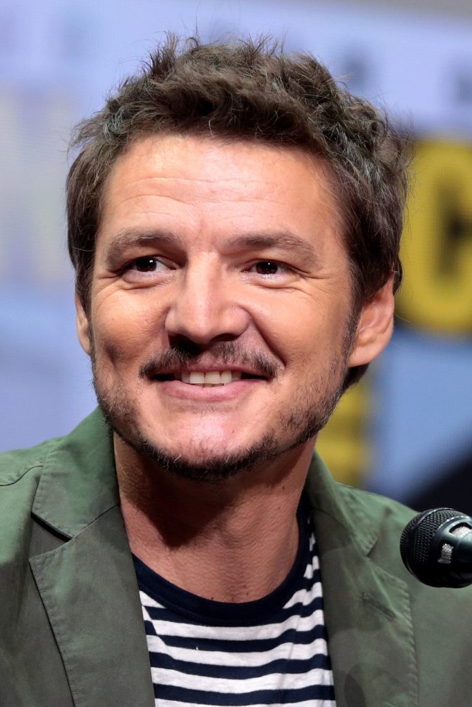 Pedro Pascal Movies and TV Shows You Must Watch